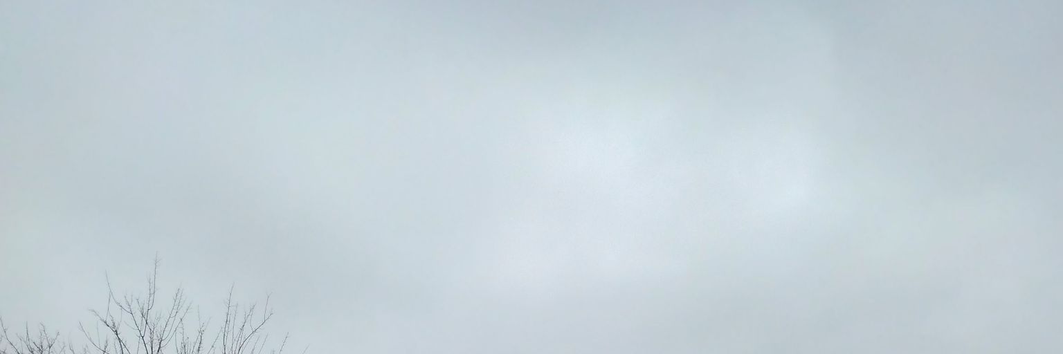 giaflorgiu's profile banner image