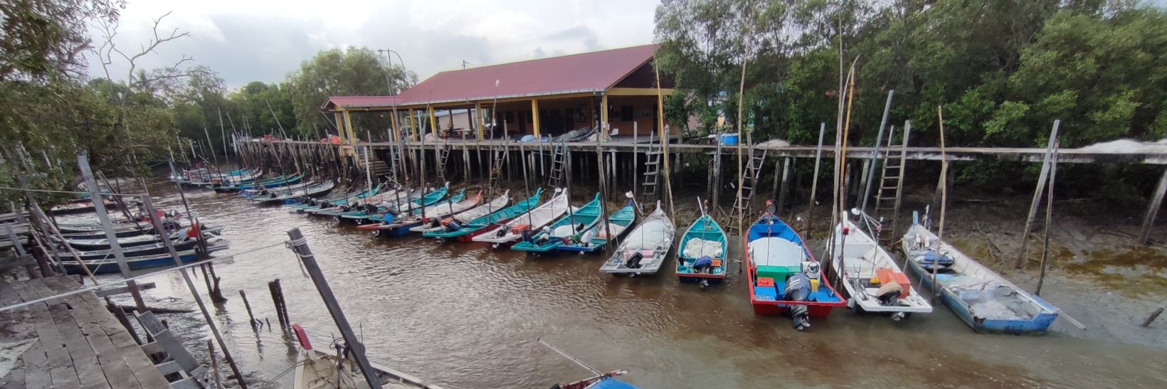 cde411 🇲🇾🇵🇸 banner