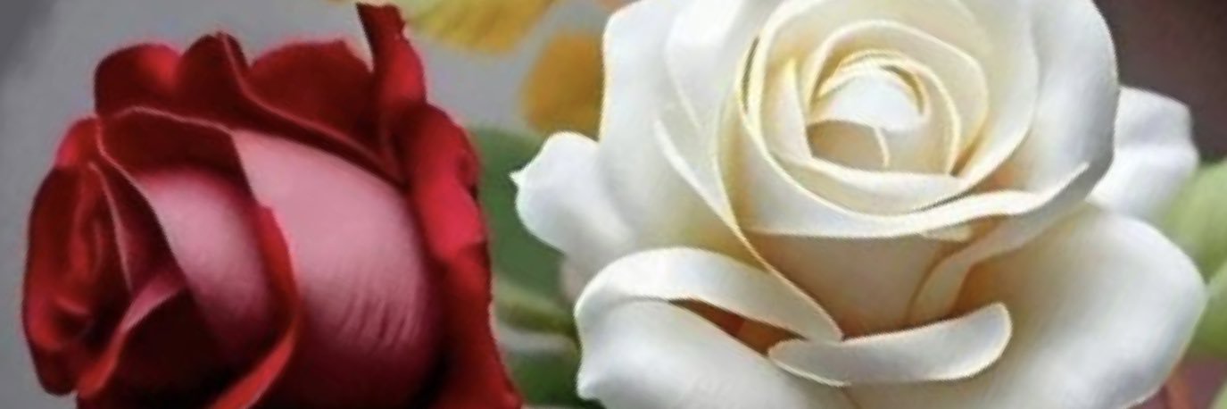 FAGEeh232's profile banner image