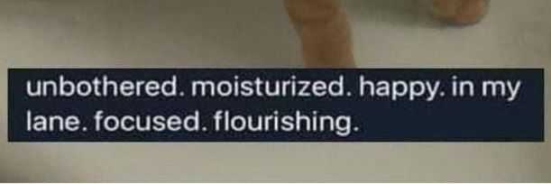 laura⁷ IS SEEING BTS banner