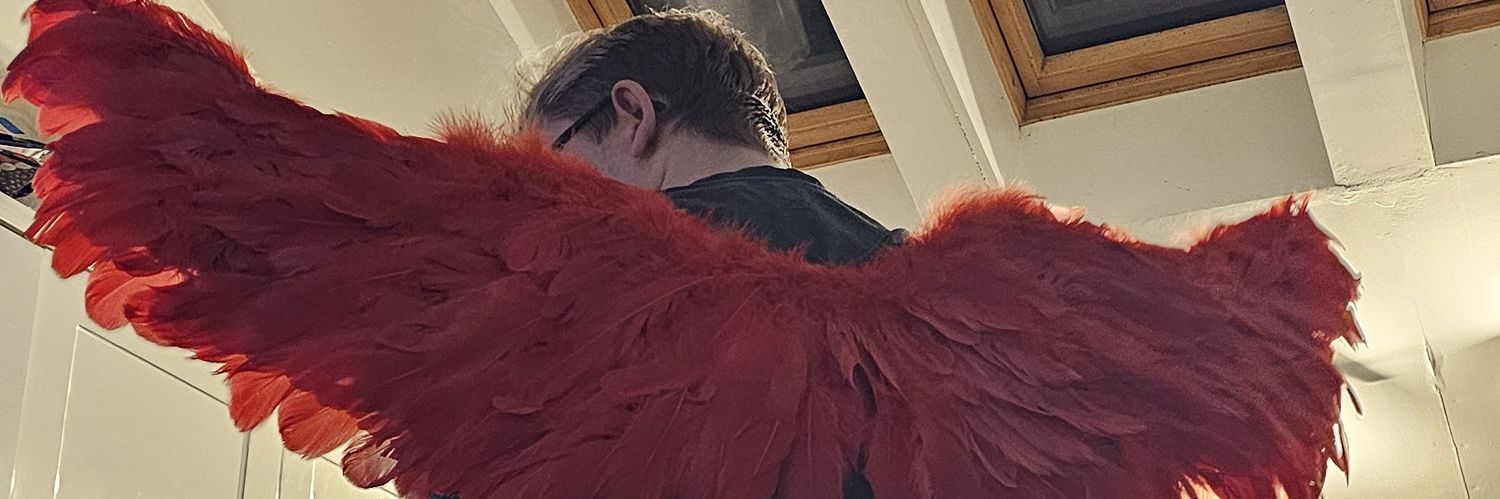 Dan banner