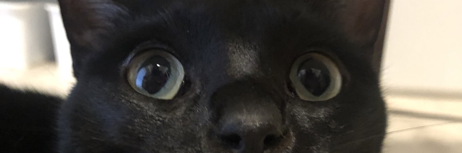 mnmo621's profile banner image