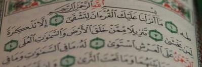 ksa_511r's profile banner image