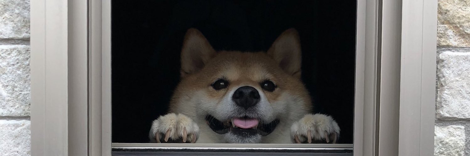 mycoo's profile banner image