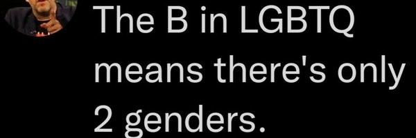 davidlt Profile Banner