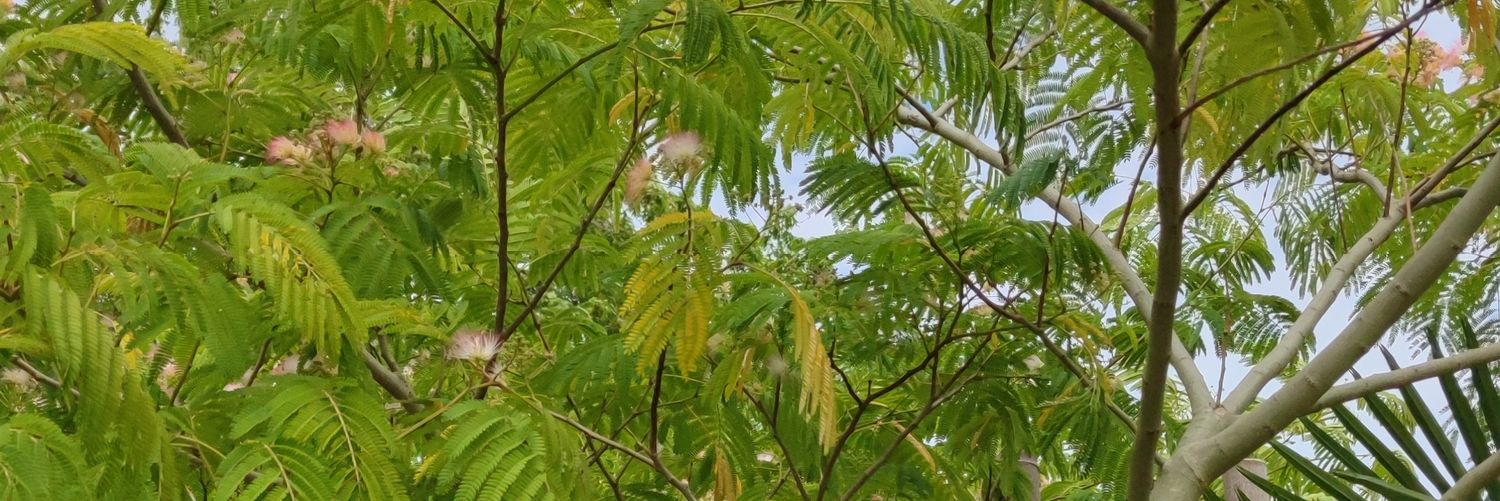 FlorisMDam's profile banner image