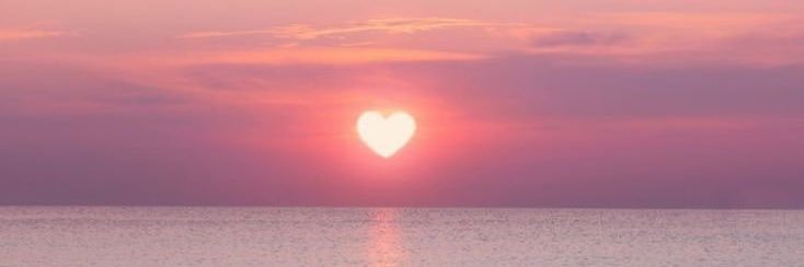 🐢🪻𐤀레이 banner