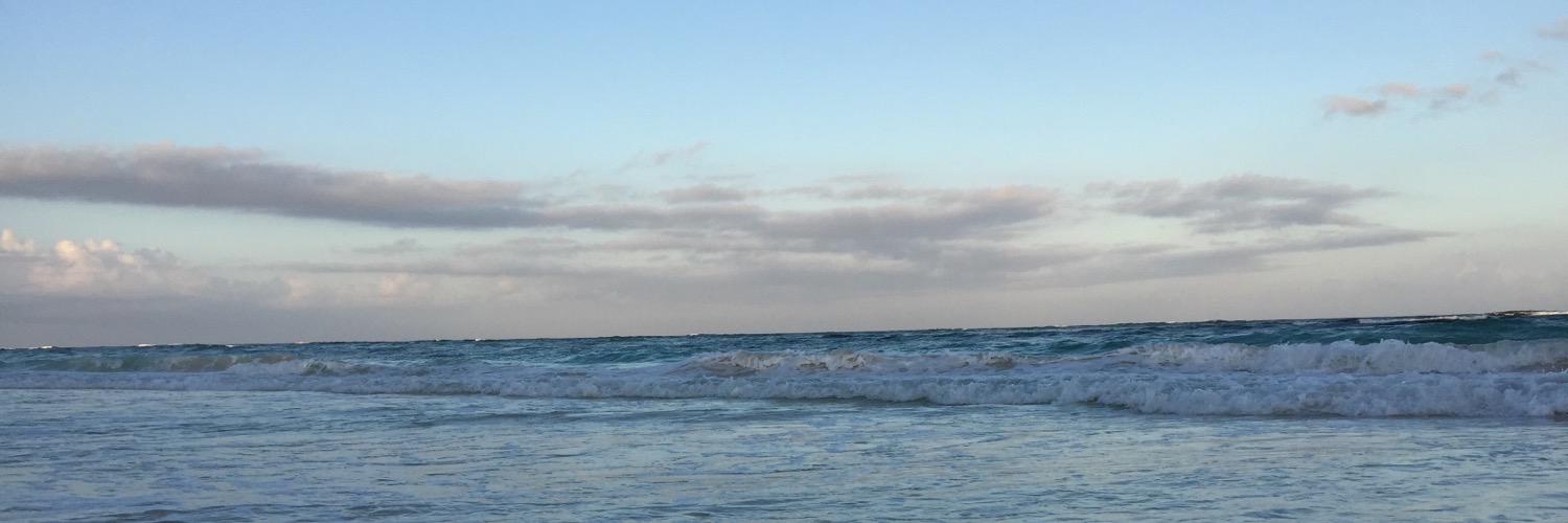 Cohen8150's profile banner image