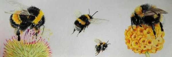 Bumble_Watching Profile Banner