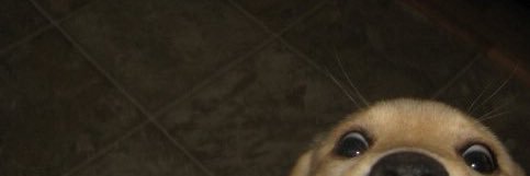 _ChrisMykel's profile banner image