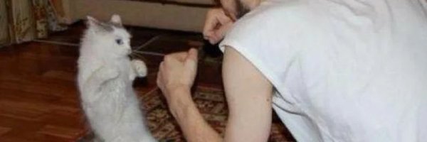 ouroborosreilig Profile Banner