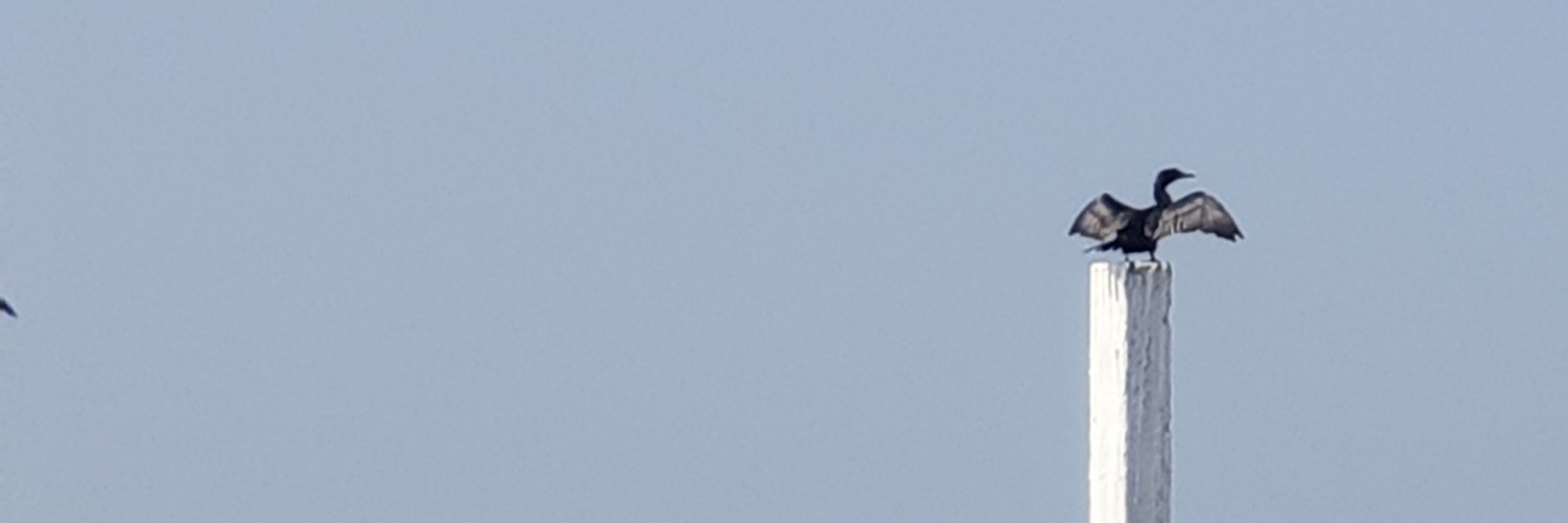 itzvrc's profile banner image