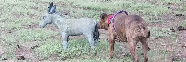moarhops Profile Banner