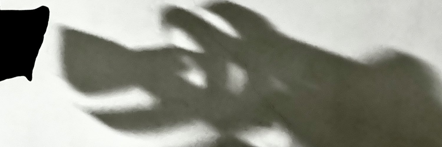 vei's profile banner image