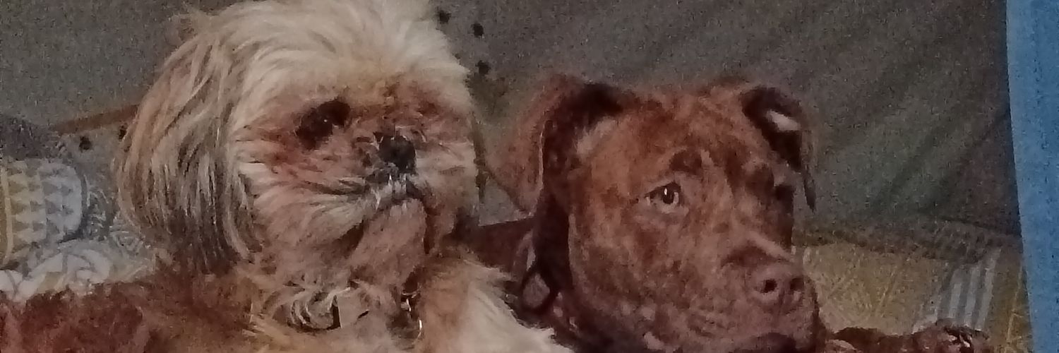 Neil Muirhead banner