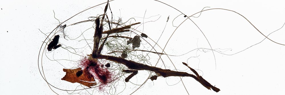 MACHFELD's profile banner image