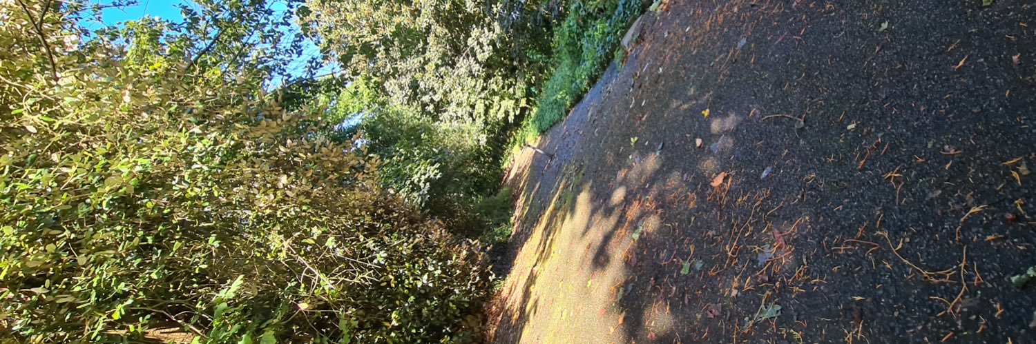 Jacob Whiteman - Hall banner