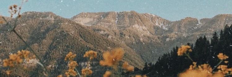 aboraola's profile banner image
