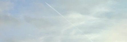 義井's banner