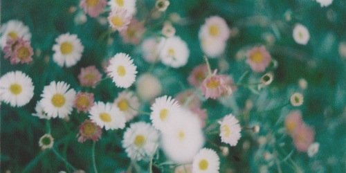 pattyquintas's profile banner image