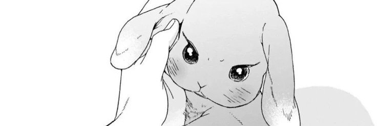 So8e8h's profile banner image