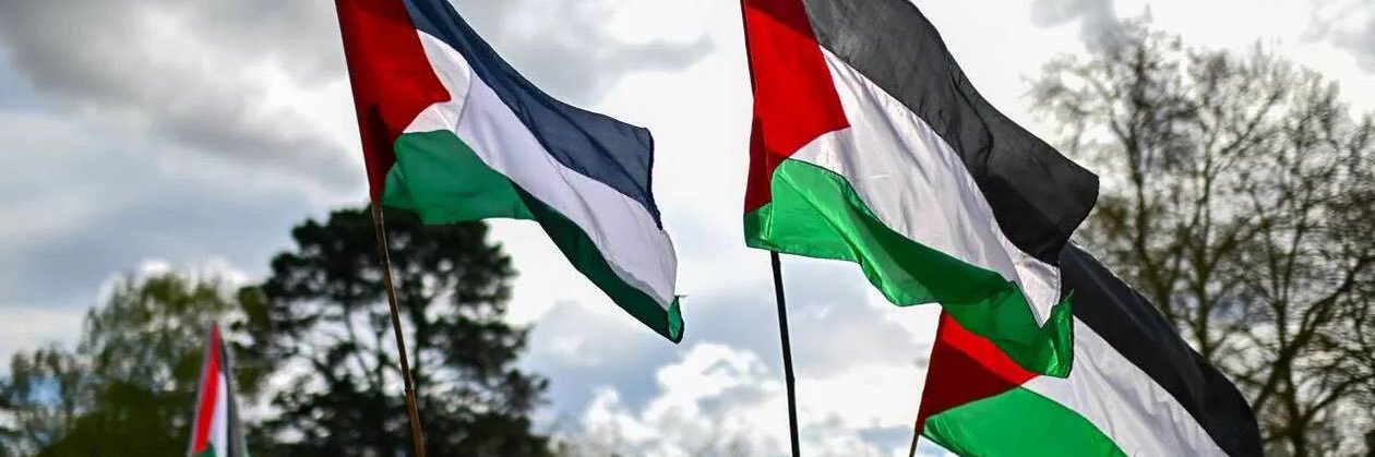 @minimel127's banner