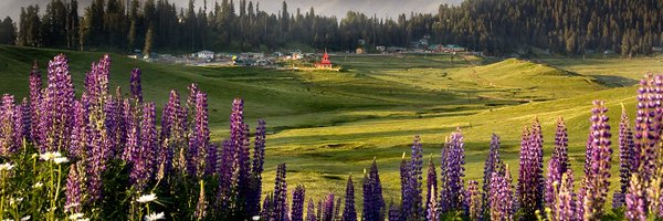 KashmirInFocus Profile Banner