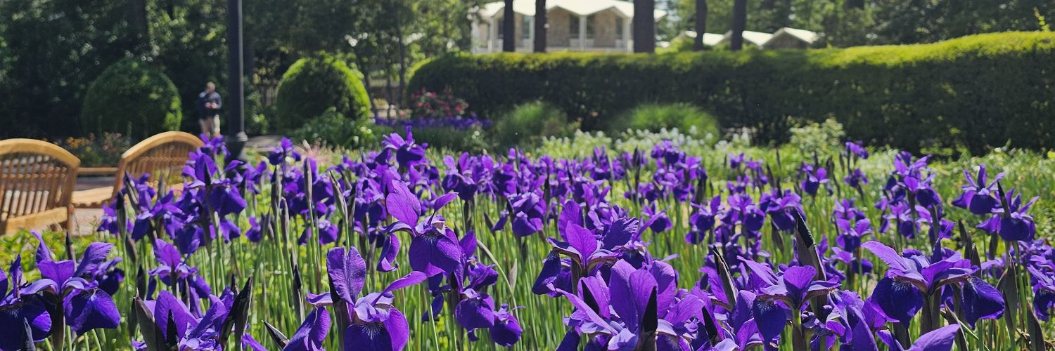 NFTMODS👷‍♂️ banner