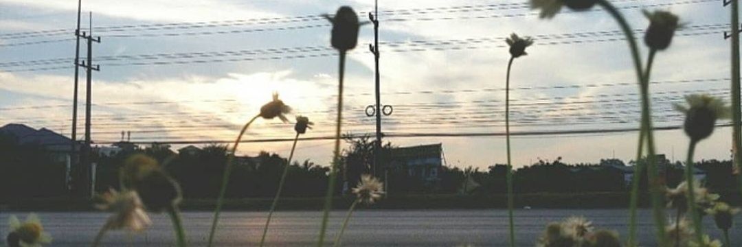 defz_ys's profile banner image
