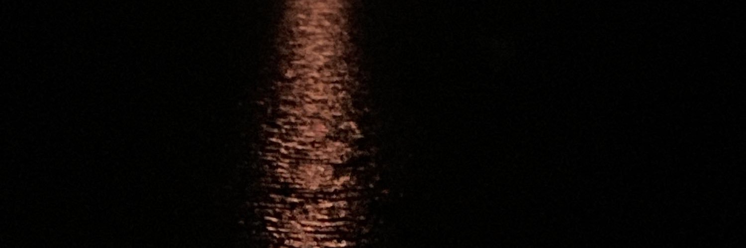 Brunogdy21's profile banner image