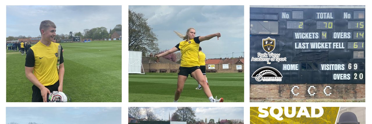 Park View Cricket Academy banner