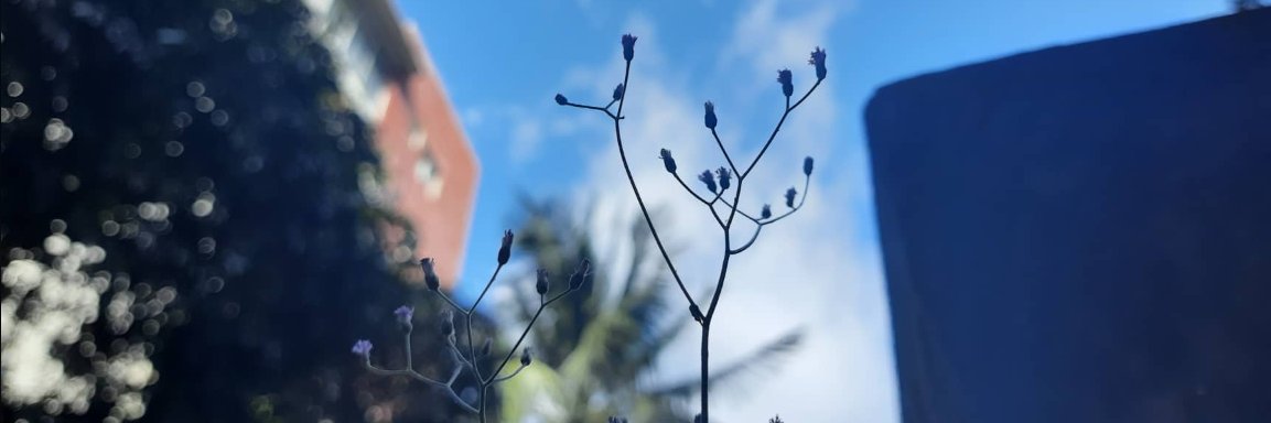SalehinArian's profile banner image