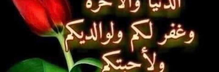 فرسان بن محمد banner