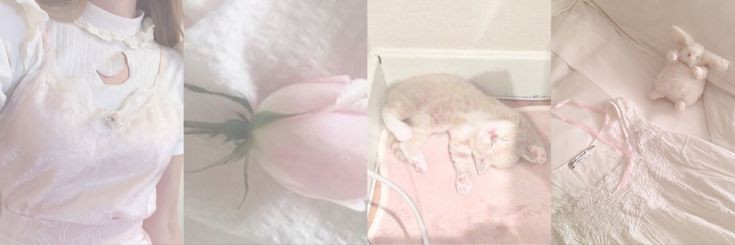 kevin! 💌 banner