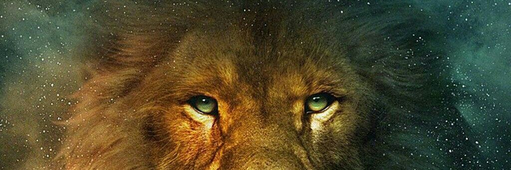 Marjoko28's profile banner image