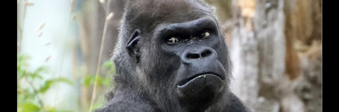 FUCK CZ Binace 🤞🏿 banner