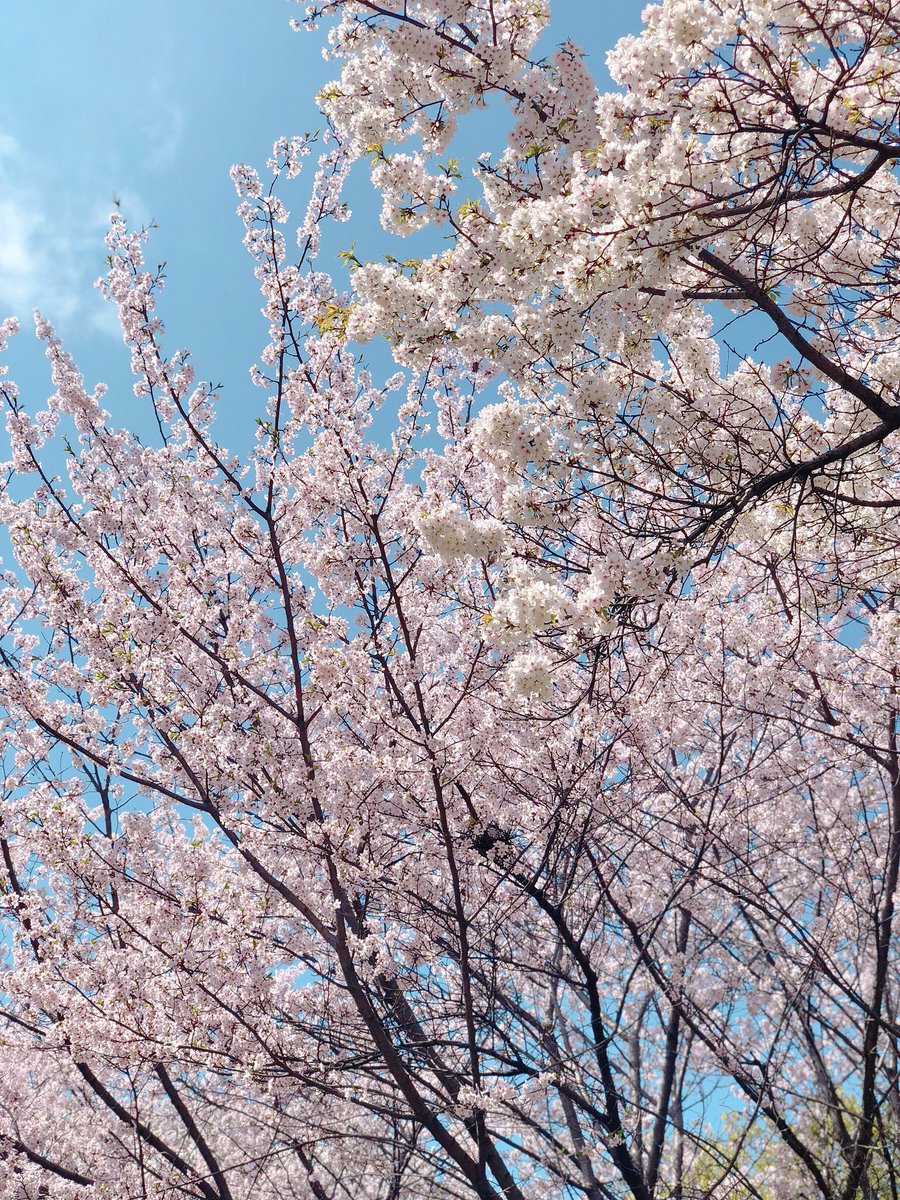 0413yes's profile banner image