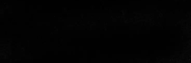 𓆝 𓆟 𓆞 𓆝 𓆟 banner