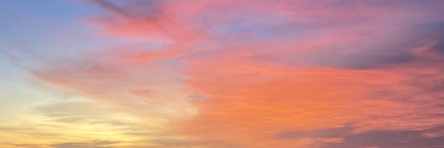 janelmaxine's profile banner image