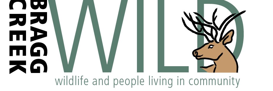 Bragg Creek Wild banner