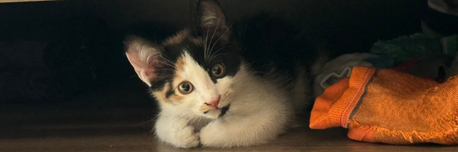 Muhammet Atmar banner