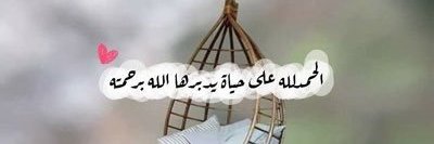 Rıdvan Yalçın banner