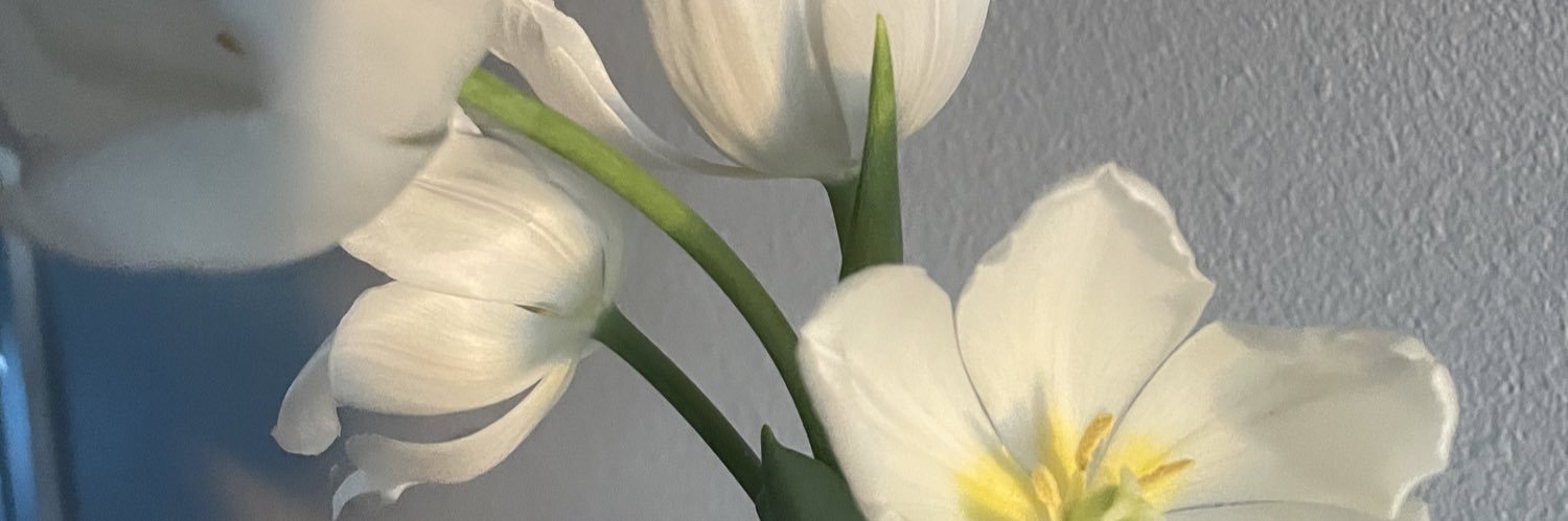 𝓖ris🩷 banner