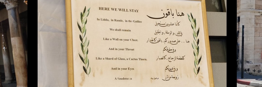 Bronwen Mehta banner