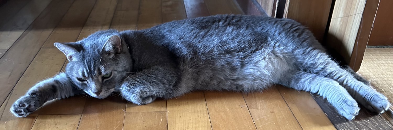 herine012@🚬吸い banner