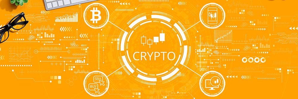Crypto WIlly 🛡️ banner