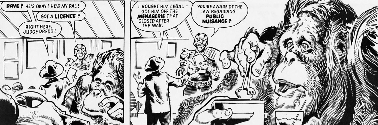 🦧Scowlin Munkeh banner