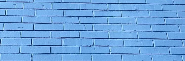 user4206991100's profile banner image