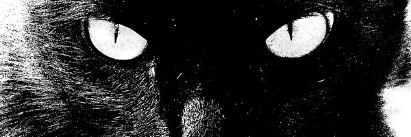 Taahahahahaa Profile Banner