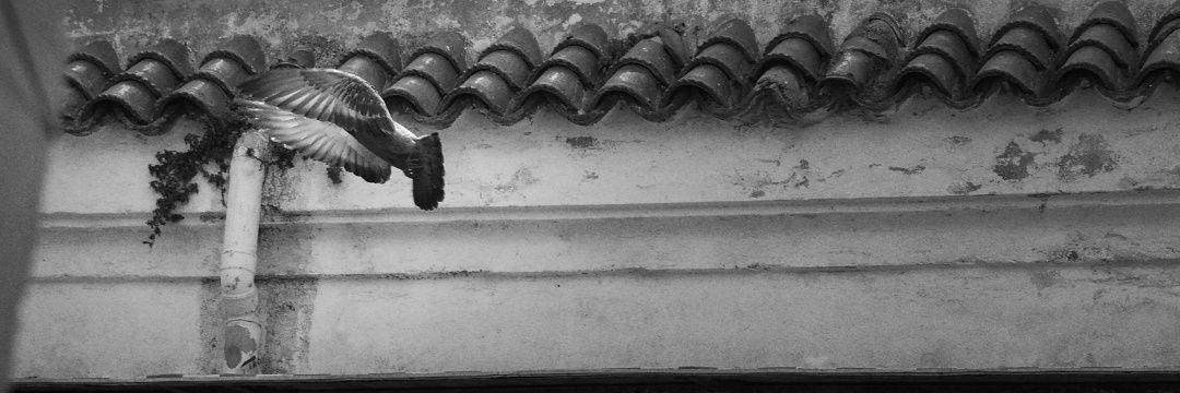 👋 ●4E● banner